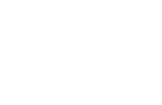 Auto Guincho Transportes